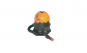 morepic-1