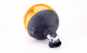 morepic-2