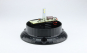 morepic-4