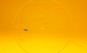 morepic-4