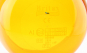 morepic-4