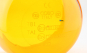 morepic-4
