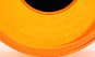 morepic-5