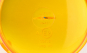 morepic-6